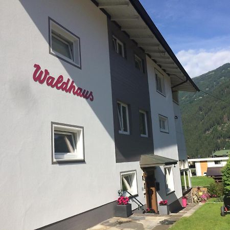Waldhaus Lechner Steinerkogel Lägenhet Mayrhofen Exteriör bild